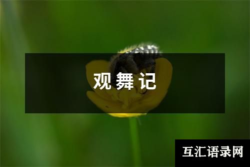 观 舞 记
