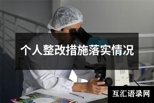 个人整改措施落实情况
