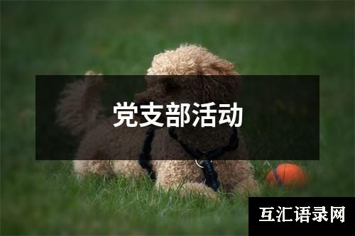党支部活动