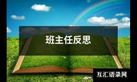 班主任反思