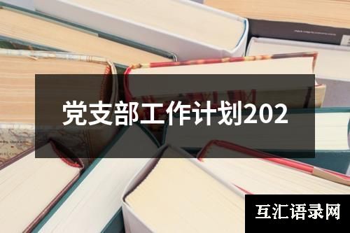 党支部工作计划202