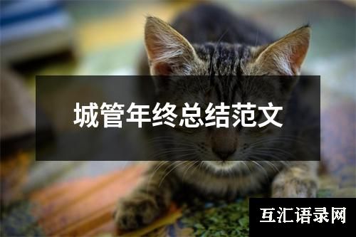 城管年终总结范文