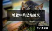 城管年终总结范文