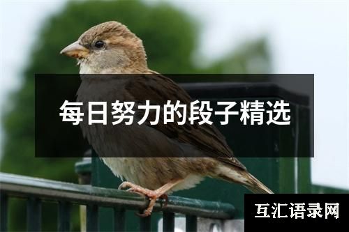 每日努力的段子精选