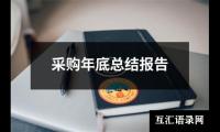 采购年底总结报告